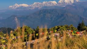Pokhara: 3-Day Ghorepani and Poon Hill Trek