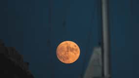Sotogrande: Full Moon on the Sea 2 Hours
