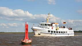 Von Tönning aus: Bootsfahrt zu den Seehunden