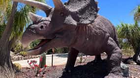 Costa Blanca : DinoPark Algar Ticket d'entrée