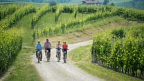 Hood River: All-Day E-Bike Rental