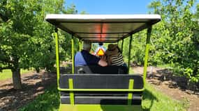 Hood River: Orchard Tour