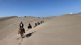 Penguins Watching&HorseRiding&Barbecue Beach&Dunes FromStgo