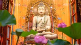 Shanghai: Yu Garden,Jade Temple, Bund&French Concession Tour