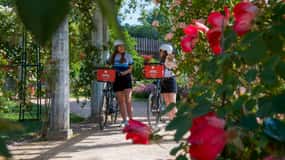 Lione: Alla scoperta del Parco della Tête d'Or in eBike
