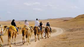 Full-Day Agafay Desert & Atlas Mountains Tour With Camels