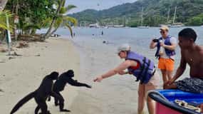 Fra Colon Cruise Termi: 3 caribiske øer og Portobelo Fort