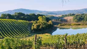 From Florence: Chianti Wine Tastings at Sunset Day Trip