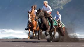Insel Faial: Reiten (3 Stunden - Erfahrene Reiter)