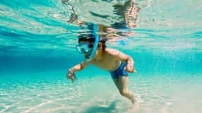 Fort Walton Beach: Morning Dolphin Cruise with Snorkel Stop