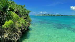 Ile aux Aigrettes Reserve & Blue Bay båt med glasbotten