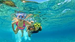 Emerald Coast: Afternoon Snorkel & Dolphin Tour