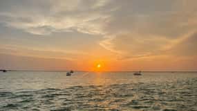 Florida: Emerald Coast Sunset & Dolphin Cruise with Guide