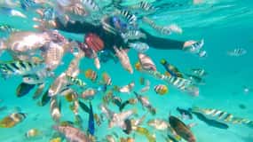 Exotic Escape Island : Pink Beach and Snorkeling Daily Tour