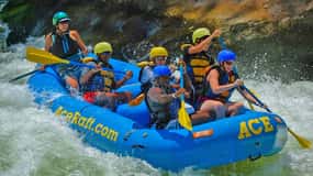 New River Gorge Whitewater Rafting - Lower New Half Day
