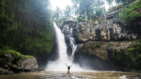 Ubud: Balinese Culture and Nature Private Full-day Tour