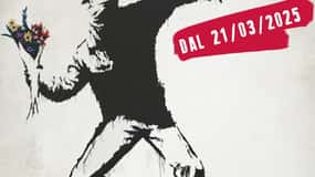 THE WORLD OF BANKSY. THE IMMERSIVE EXPERIENCE - MILANO VARESINA 204