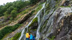 From Dublin: Wicklow, Glendalough, Waterfall & Sheepdog Demo