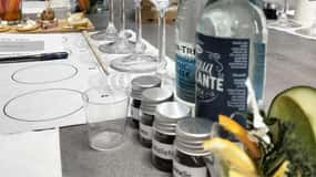 Dégustation de gin italien