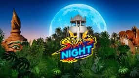 Eintrittskarte für die Siam Night