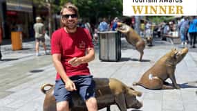 Adelaide: Guided Ultimate Walking Tour with Drink and Snack