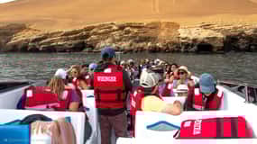 Paracas : Circuit des îles Ballestas en formule tout compris