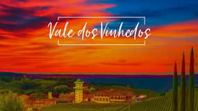 Бенто: DayTour Privado Vale Vinhedos saindo de Porto Alegre