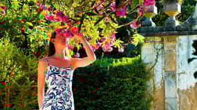 Jardins de Coimbra: Uma experiência fotográfica a pé