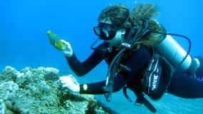 Easter Island: Tropical Diving