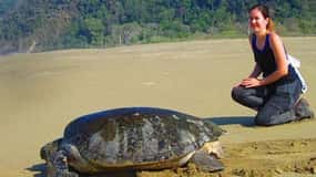 Surabaya : 4 Days Mt Bromo Ijen & Sukamade Turtle Drop Bali