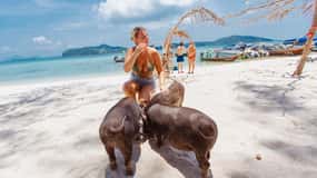 Koh Samui: Pig Island privat longtail bådtur