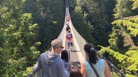 Vancouver: Private Tour City Sights, FlyOver & Capilano