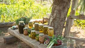 Pelion Private Nature Experience : Farm-to-Table Cooking