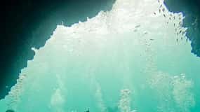 Tour delle immersioni a North Seymour (Canale) con Enchanted Islands