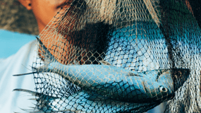 PALAWAN: El Nido Fishing Tour with Local Fishermen PRIVATE