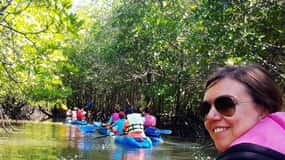 Half Day Mangrove Forest (Morning or Afternoon)