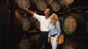 Guided Tour at Ron Arehucas Distillery