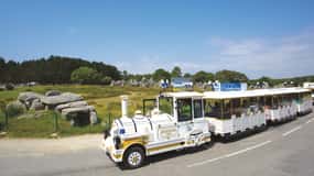 Visite de Carnac : Merveilles mégalithiques et La Trinité Sur Mer