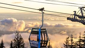 From Vancouver: Grouse Mountain & Capilano Suspension Bridge