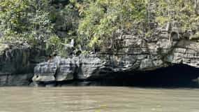 Langkawi Mangrove : Sharing Boat 3Hour estimated (lunch)