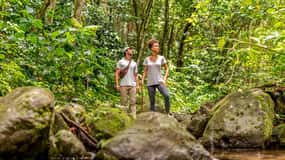 Rainforest Adventure