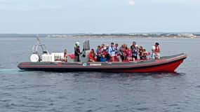 Albufeira: Dolphin Watching and Benagil Cave Boat Cruise