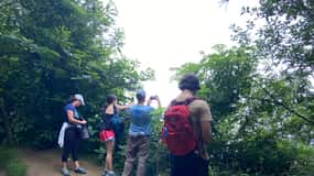 Caminhada Ulia | San Sebastián: El Camino de Santiago (O Caminho)