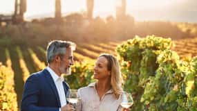 Från Palma de Mallorca: Privat tur med vin och lokala smaker