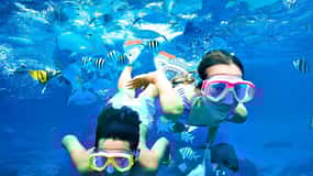 Trincomalee: Private Snorkeling Tour at Pigeon Island