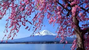 Tokyo: Full-day Tour of the Four Majestic Spots of Mt Fuji