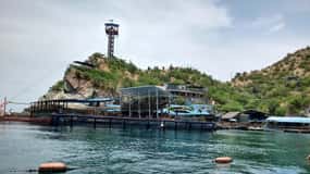 SANTAMARTA: COMBO TOUR taximarino+golfinhos 5m+Aquário+almoço+praia branca