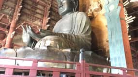 Nara: Full-Day Private Guided Tour