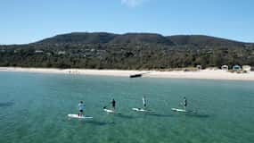 Penisola di Mornington: SUP, escursione e viaggio alle sorgenti termali con pranzo