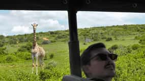 Port Elizabeth:2-Day Schotia Safaris & Addo Wildlife Reserve